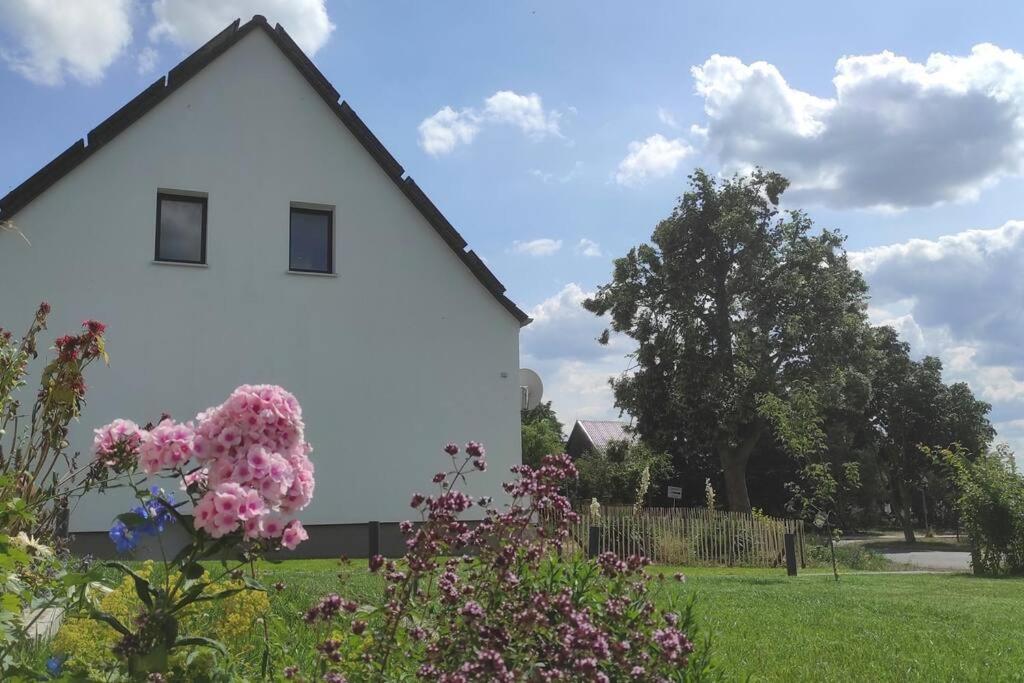 Storchennest - Ferienwohnung Am Storchenradweg Ketzur ภายนอก รูปภาพ