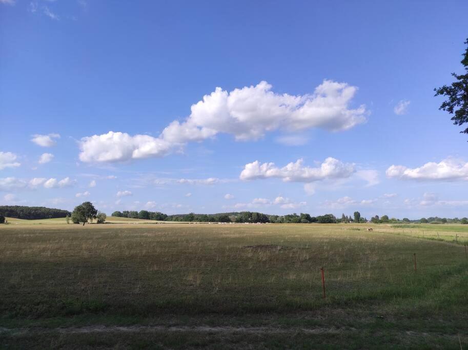 Storchennest - Ferienwohnung Am Storchenradweg Ketzur ภายนอก รูปภาพ