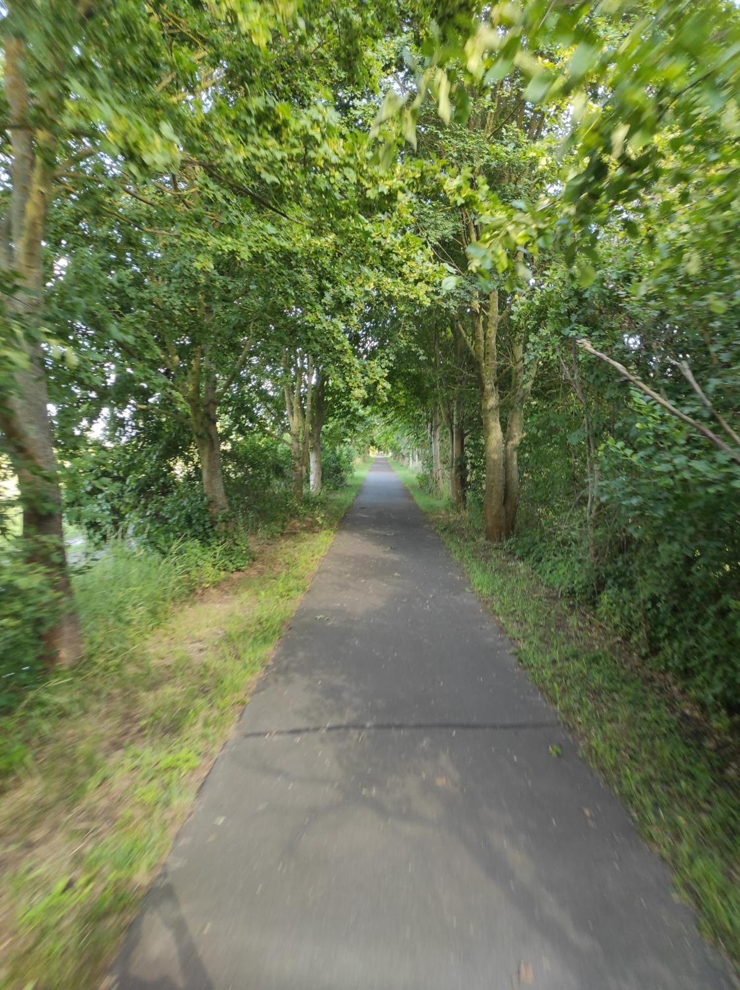 Storchennest - Ferienwohnung Am Storchenradweg Ketzur ภายนอก รูปภาพ